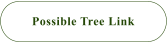Possible Tree Link